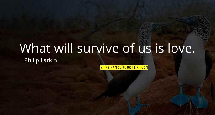 A Will To Survive Quotes By Philip Larkin: What will survive of us is love.
