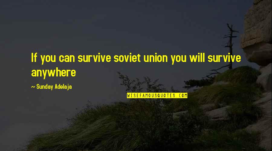 A Will To Survive Quotes By Sunday Adelaja: If you can survive soviet union you will