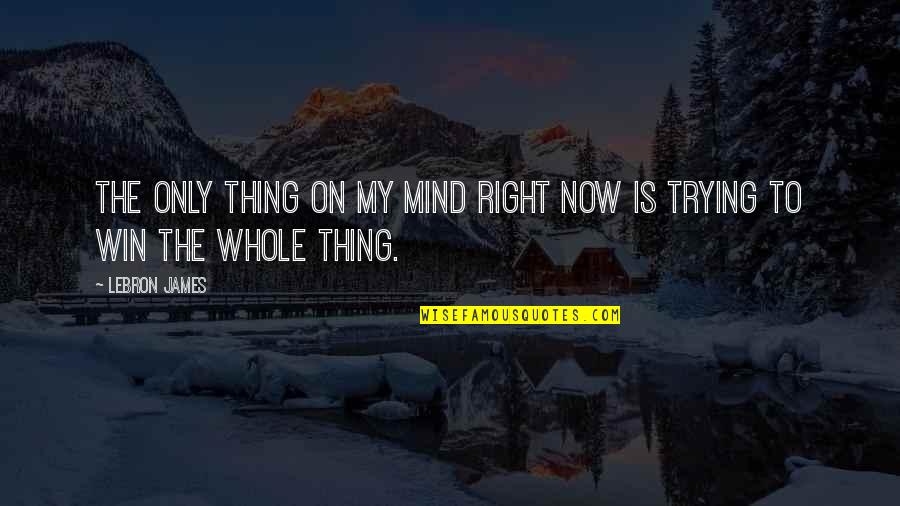 A Winning Mind Quotes By LeBron James: The only thing on my mind right now