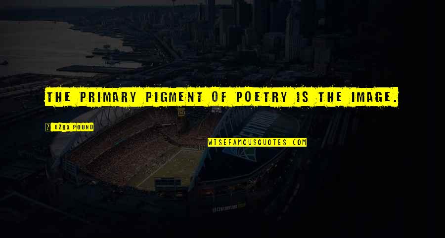 A Wise Person Once Told Me Quotes By Ezra Pound: The primary pigment of poetry is the IMAGE.