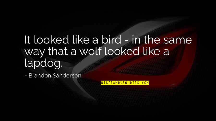 A Wolf Quotes By Brandon Sanderson: It looked like a bird - in the