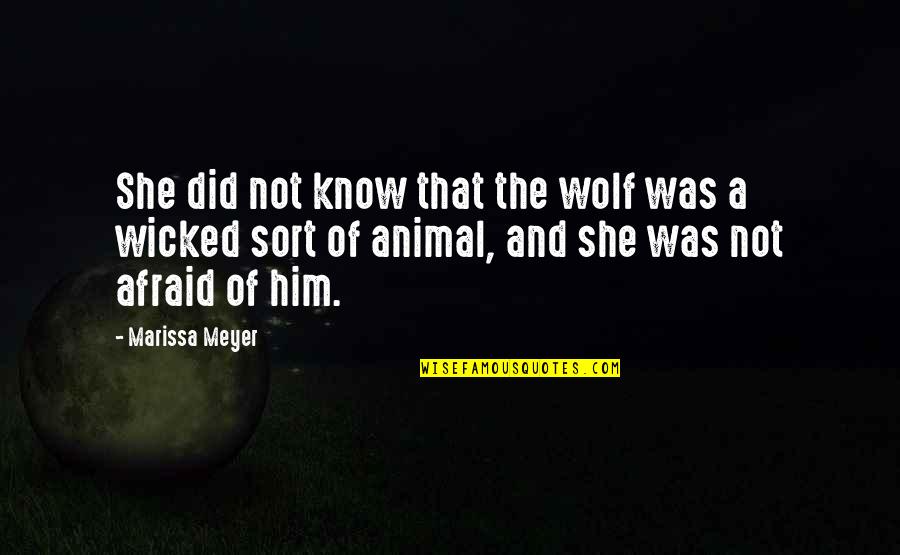 A Wolf Quotes By Marissa Meyer: She did not know that the wolf was