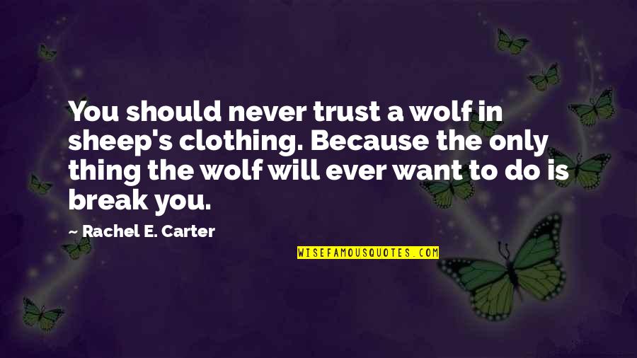 A Wolf Quotes By Rachel E. Carter: You should never trust a wolf in sheep's