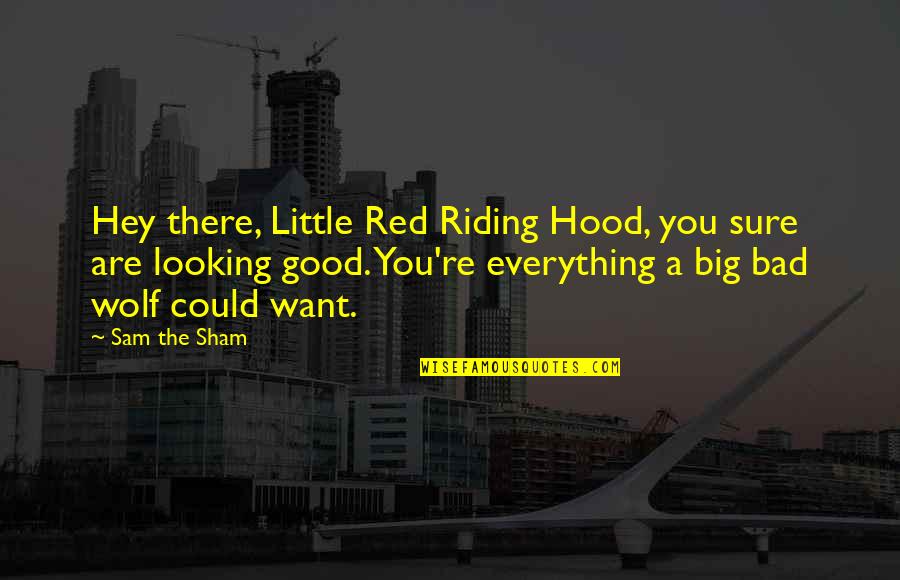 A Wolf Quotes By Sam The Sham: Hey there, Little Red Riding Hood, you sure