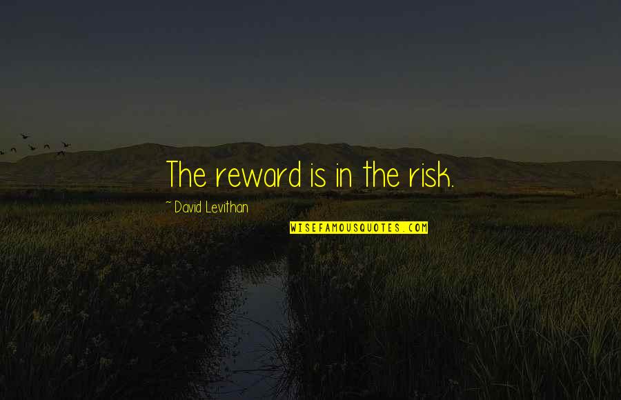 A Woman President Quotes By David Levithan: The reward is in the risk.