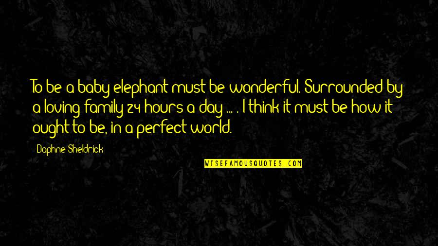 A Wonderful Family Quotes By Daphne Sheldrick: To be a baby elephant must be wonderful. A Wonderful Family Quotes By Daphne Sheldrick: To be a baby elephant must be wonderful.