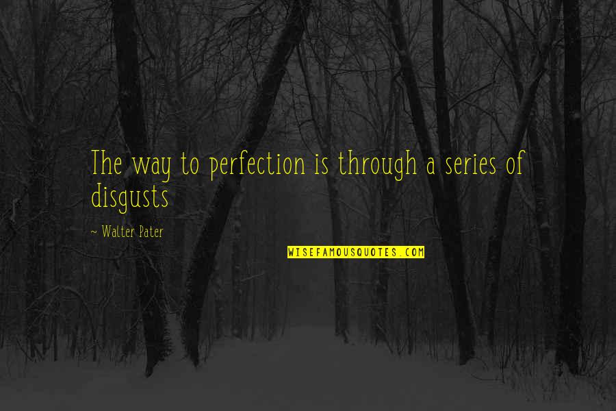 A Wonderful Husband And Father Quotes By Walter Pater: The way to perfection is through a series