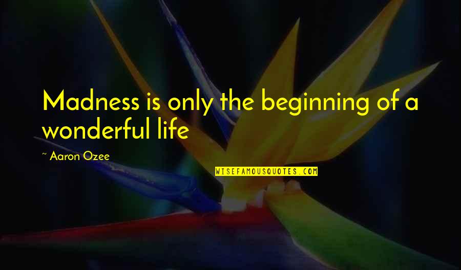 A Wonderful Life Quotes By Aaron Ozee: Madness is only the beginning of a wonderful