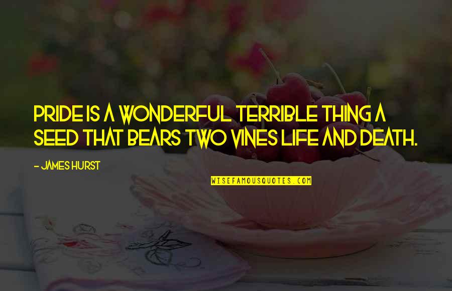 A Wonderful Life Quotes By James Hurst: Pride is a wonderful terrible thing a seed
