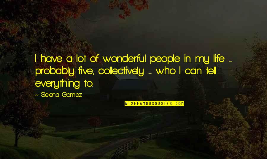 A Wonderful Life Quotes By Selena Gomez: I have a lot of wonderful people in