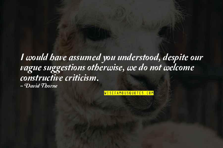 A Woodworker Quotes By David Thorne: I would have assumed you understood, despite our