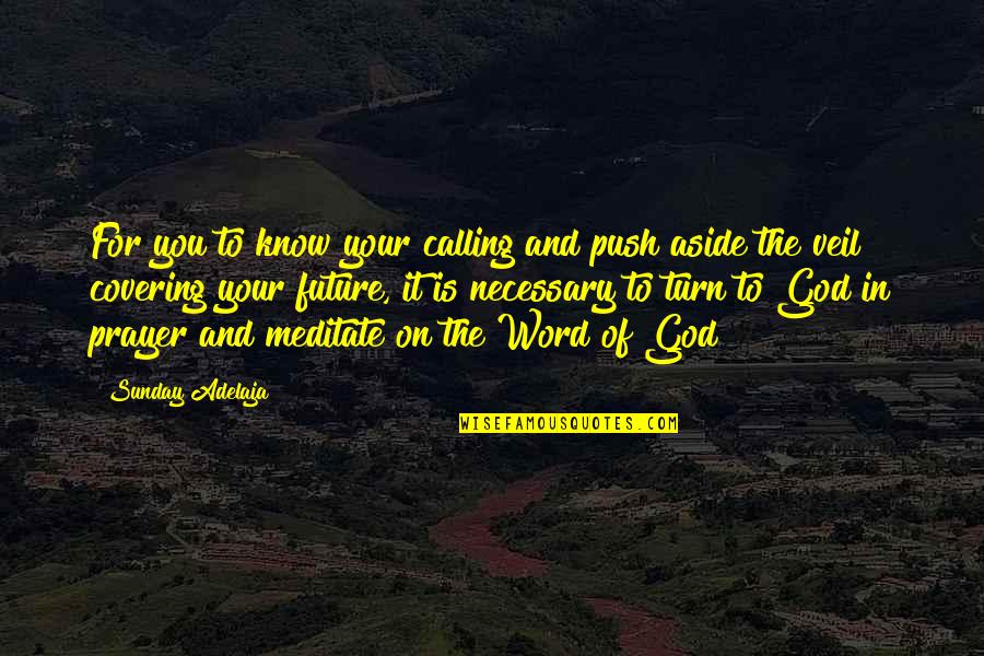 A Word Of Prayer Quotes By Sunday Adelaja: For you to know your calling and push