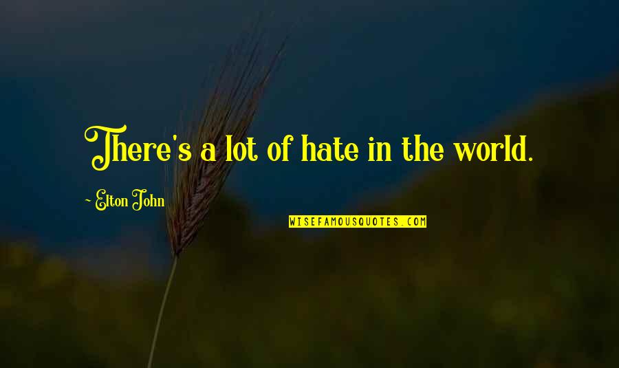 A World Of Hate Quotes By Elton John: There's a lot of hate in the world.