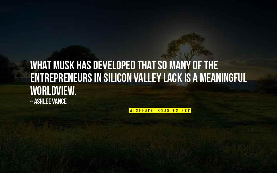 A Worldview Quotes By Ashlee Vance: What Musk has developed that so many of