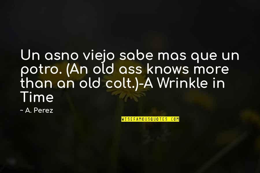 A Wrinkle In Time Best Quotes By A. Perez: Un asno viejo sabe mas que un potro.