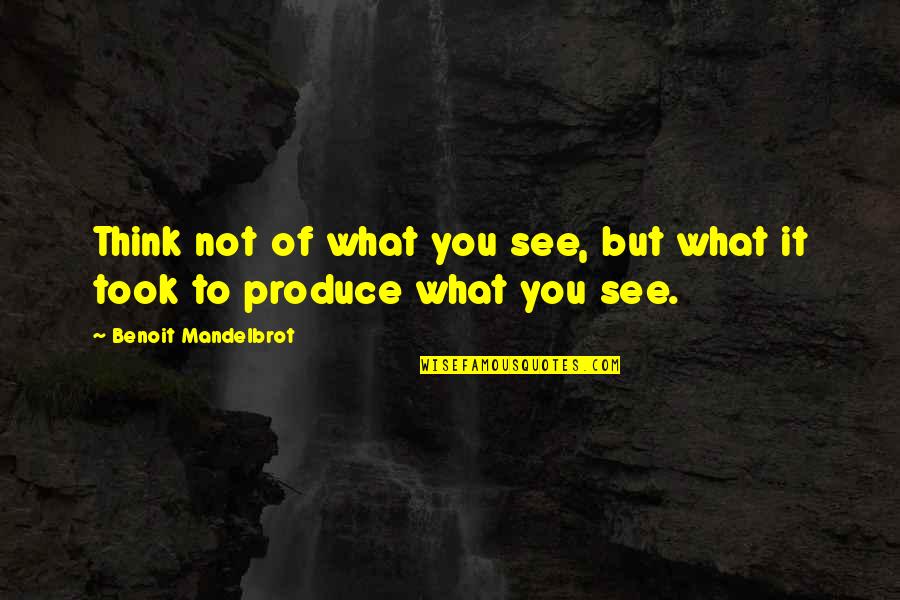 A Year Older Quotes By Benoit Mandelbrot: Think not of what you see, but what