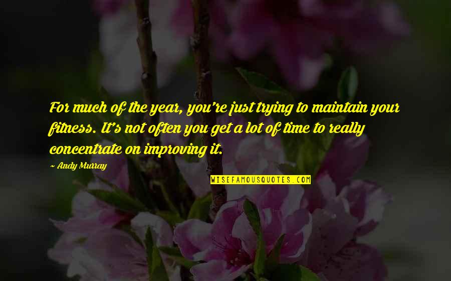 A Year's Time Quotes By Andy Murray: For much of the year, you're just trying