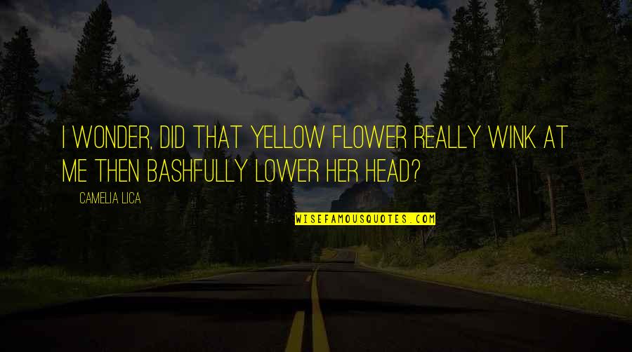 A Yellow Flower Quotes By Camelia Lica: I wonder, did that yellow flower really wink