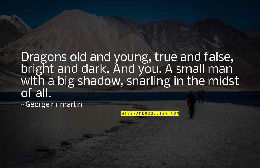 A Young Man Quotes By George R R Martin: Dragons old and young, true and false, bright