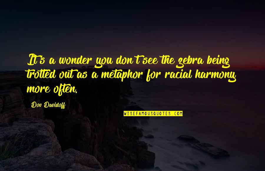 A Zebra Quotes By Dov Davidoff: It's a wonder you don't see the zebra A Zebra Quotes By Dov Davidoff: It's a wonder you don't see the zebra