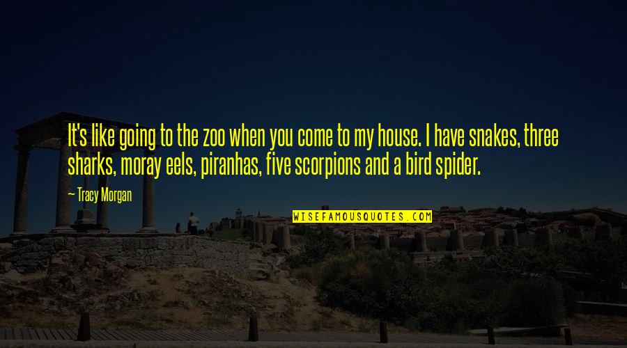 A Zoo Quotes By Tracy Morgan: It's like going to the zoo when you