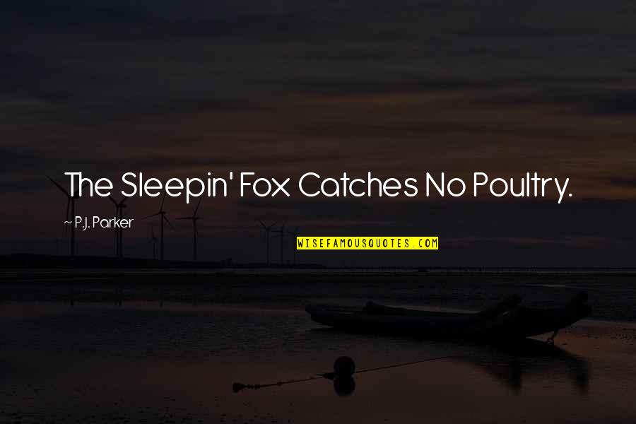 A0i Quotes By P.J. Parker: The Sleepin' Fox Catches No Poultry.