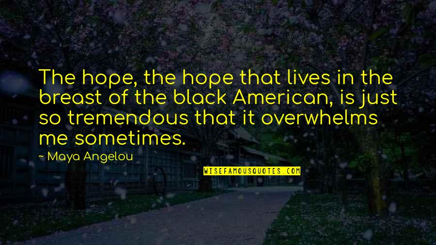 Aa 12 Step Quotes By Maya Angelou: The hope, the hope that lives in the