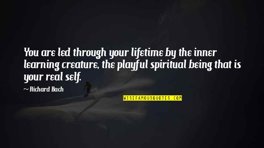 Aa 12 Step Quotes By Richard Bach: You are led through your lifetime by the