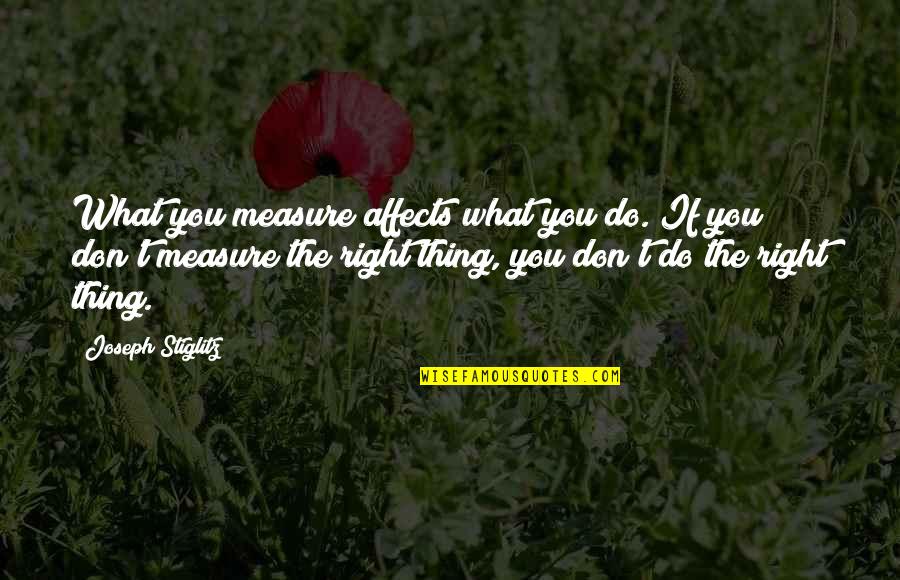 Aa Daily Reflections Quote Quotes By Joseph Stiglitz: What you measure affects what you do. If
