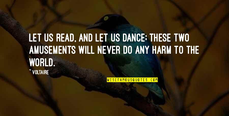 Aa Mile Quotes By Voltaire: Let us read, and let us dance; these