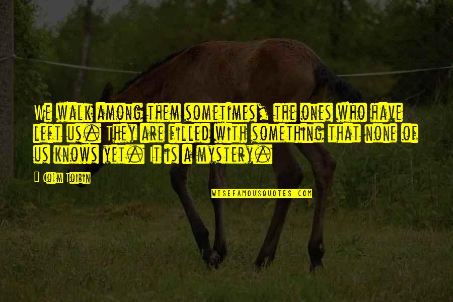 Aaa Car Quotes By Colm Toibin: We walk among them sometimes, the ones who