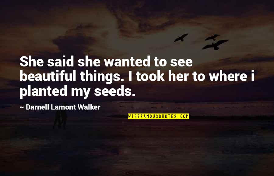 Aaahsome Quotes By Darnell Lamont Walker: She said she wanted to see beautiful things.