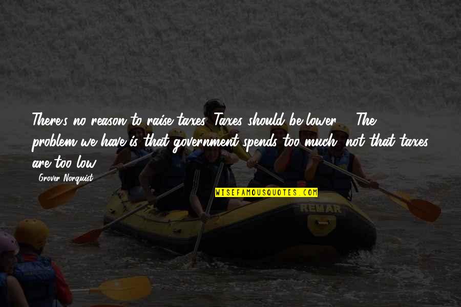 Aaenp Quotes By Grover Norquist: There's no reason to raise taxes. Taxes should Aaenp Quotes By Grover Norquist: There's no reason to raise taxes. Taxes should
