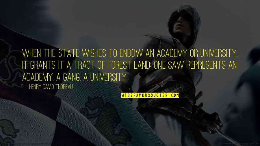 Aagje Swinnen Quotes By Henry David Thoreau: When the State wishes to endow an academy