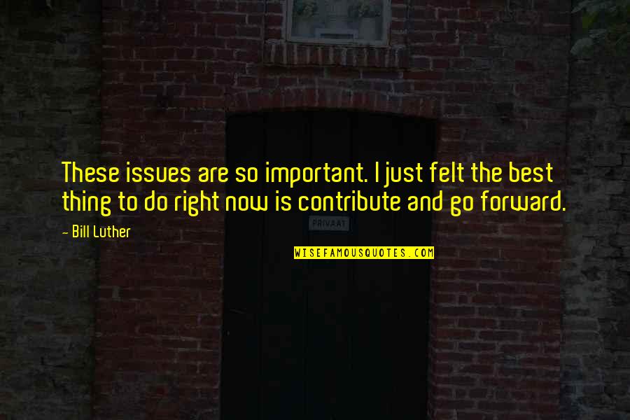 Aahahahah Quotes By Bill Luther: These issues are so important. I just felt Aahahahah Quotes By Bill Luther: These issues are so important. I just felt