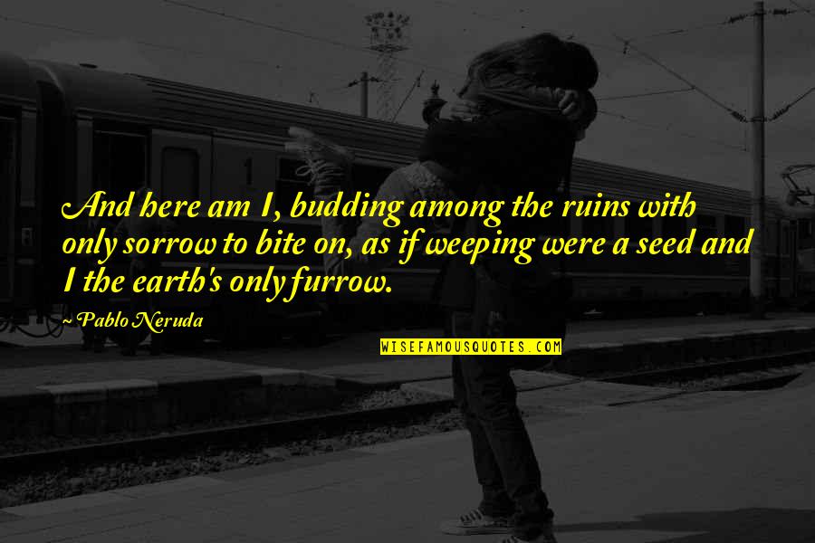 Aaliyah Singer Quotes By Pablo Neruda: And here am I, budding among the ruins Aaliyah Singer Quotes By Pablo Neruda: And here am I, budding among the ruins