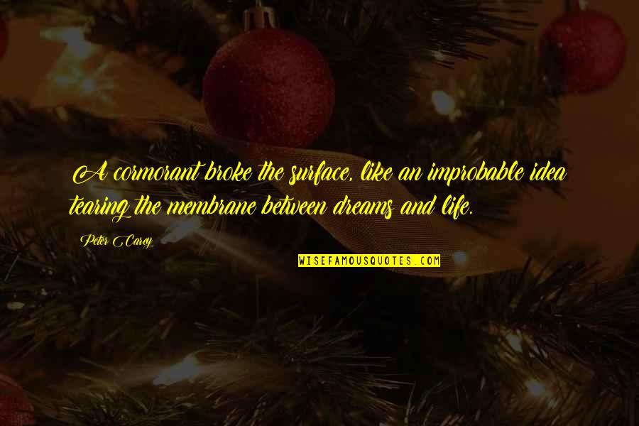 Aaliyah Singer Quotes By Peter Carey: A cormorant broke the surface, like an improbable Aaliyah Singer Quotes By Peter Carey: A cormorant broke the surface, like an improbable