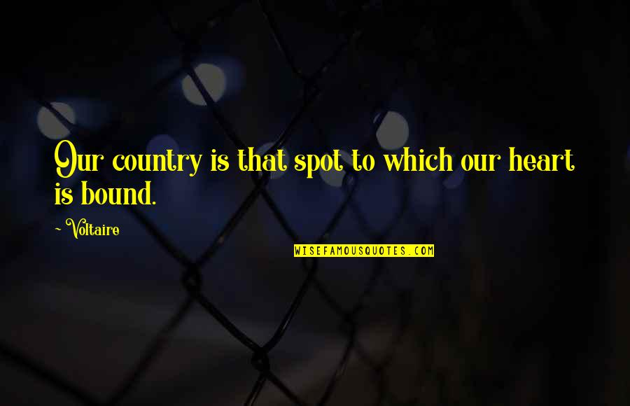 Aalna Quotes By Voltaire: Our country is that spot to which our