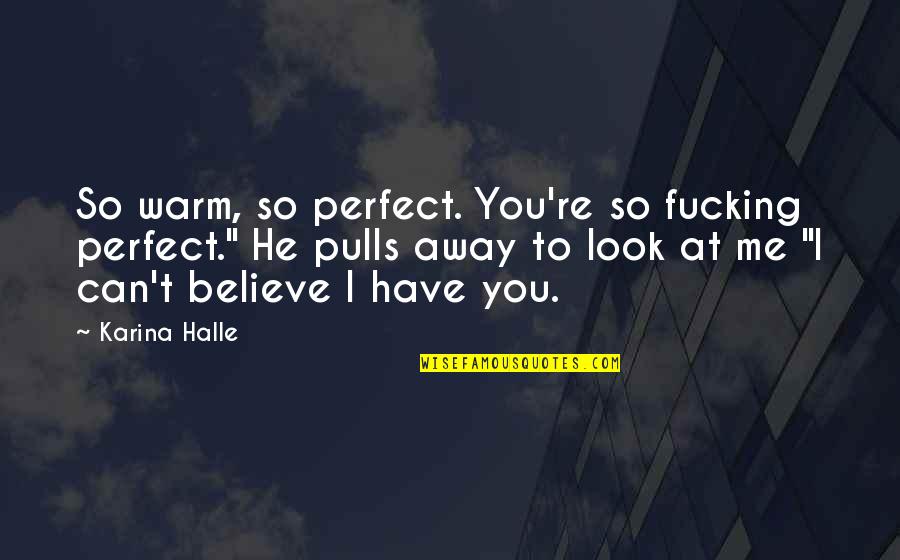Aamilne Quotes By Karina Halle: So warm, so perfect. You're so fucking perfect."