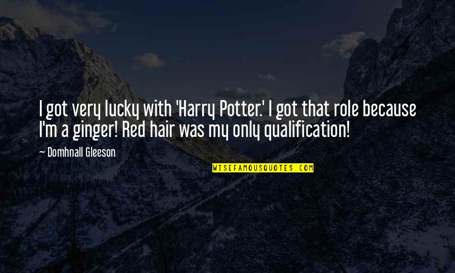 Aand Quotes By Domhnall Gleeson: I got very lucky with 'Harry Potter.' I