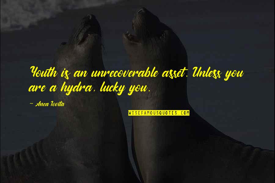Aanvankelijk Proces Quotes By Anca Iovita: Youth is an unrecoverable asset. Unless you are
