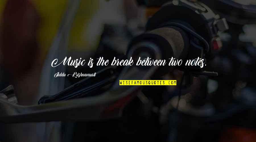 Aanya Geometric Thermal Grommet Quotes By Jiddu Krishnamurti: Music is the break between two notes. Aanya Geometric Thermal Grommet Quotes By Jiddu Krishnamurti: Music is the break between two notes.