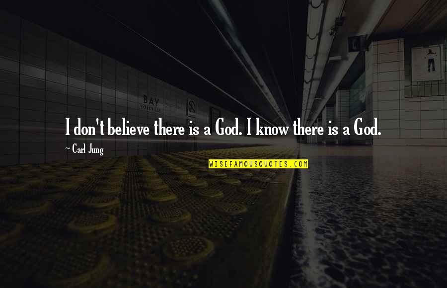 Aare Quotes By Carl Jung: I don't believe there is a God. I