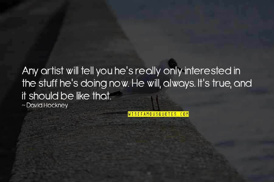 Aarikas Quotes By David Hockney: Any artist will tell you he's really only