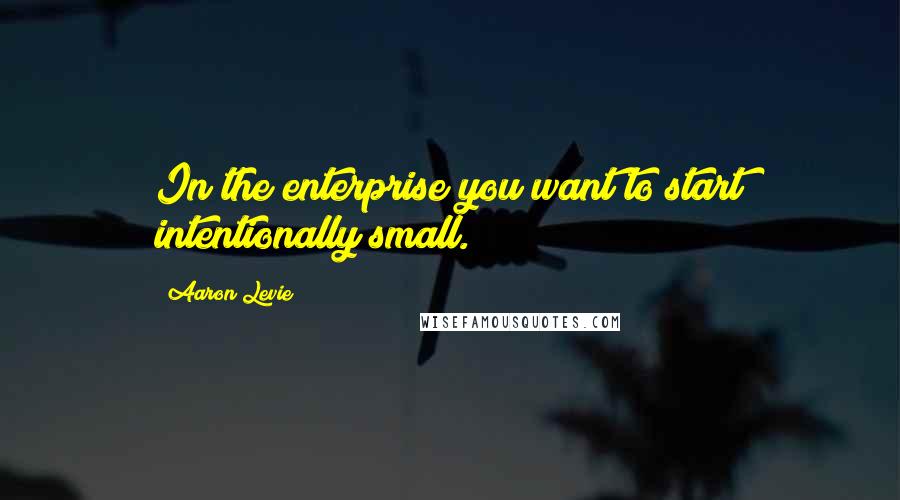 Aaron Levie quotes: In the enterprise you want to start intentionally small.