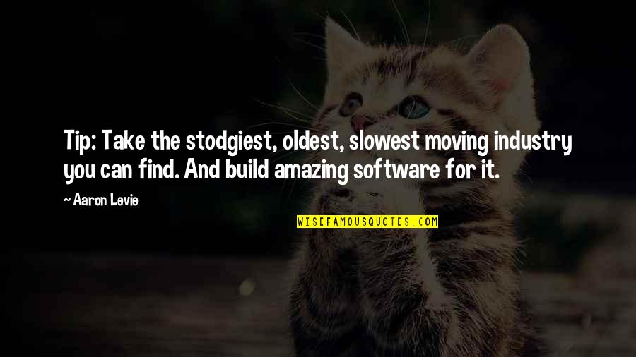 Aaron Levie Quotes By Aaron Levie: Tip: Take the stodgiest, oldest, slowest moving industry