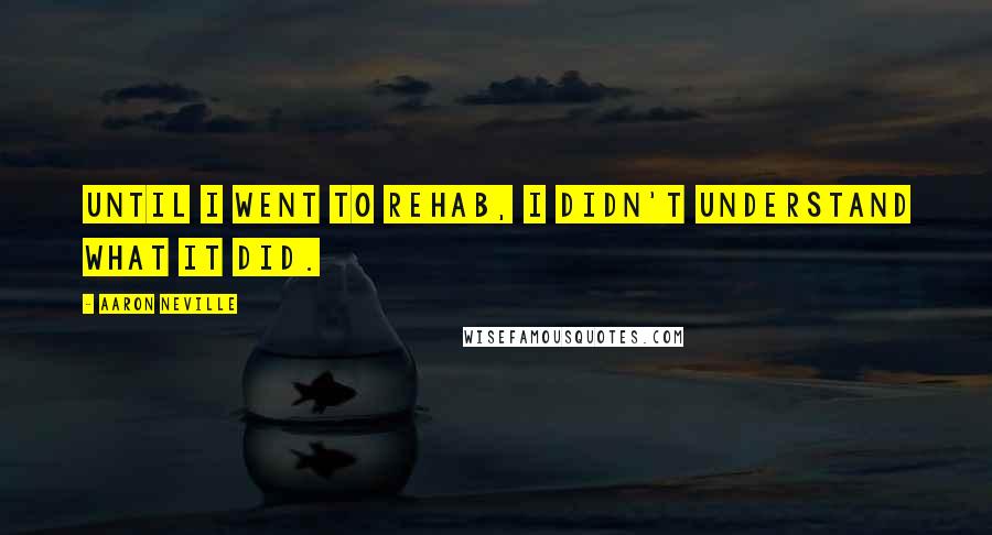 Aaron Neville quotes: Until I went to rehab, I didn't understand what it did.