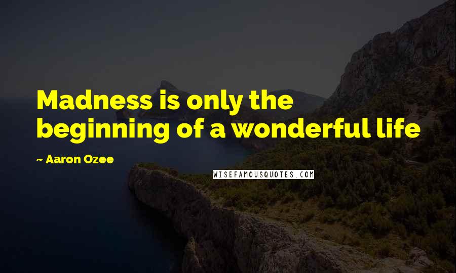 Aaron Ozee quotes: Madness is only the beginning of a wonderful life