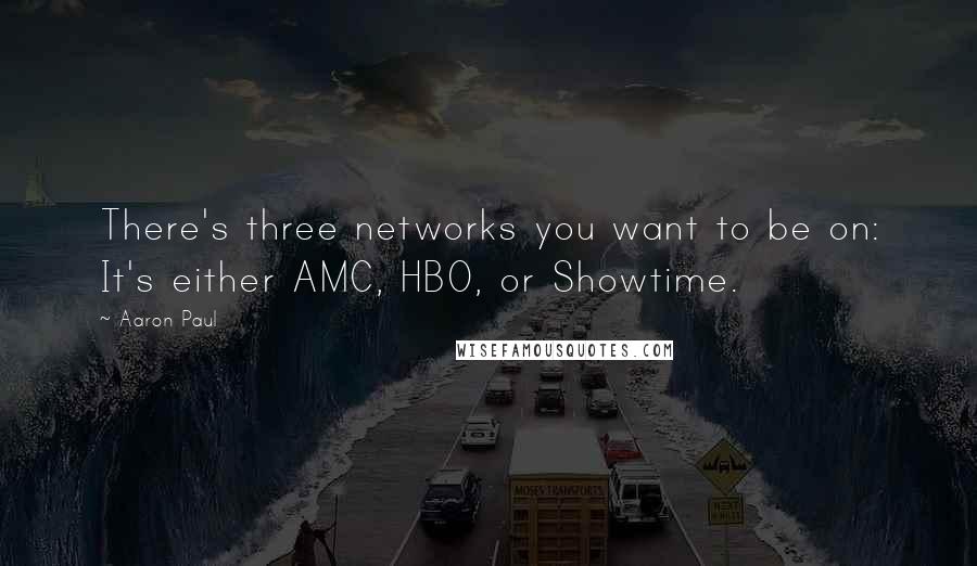 Aaron Paul quotes: There's three networks you want to be on: It's either AMC, HBO, or Showtime.