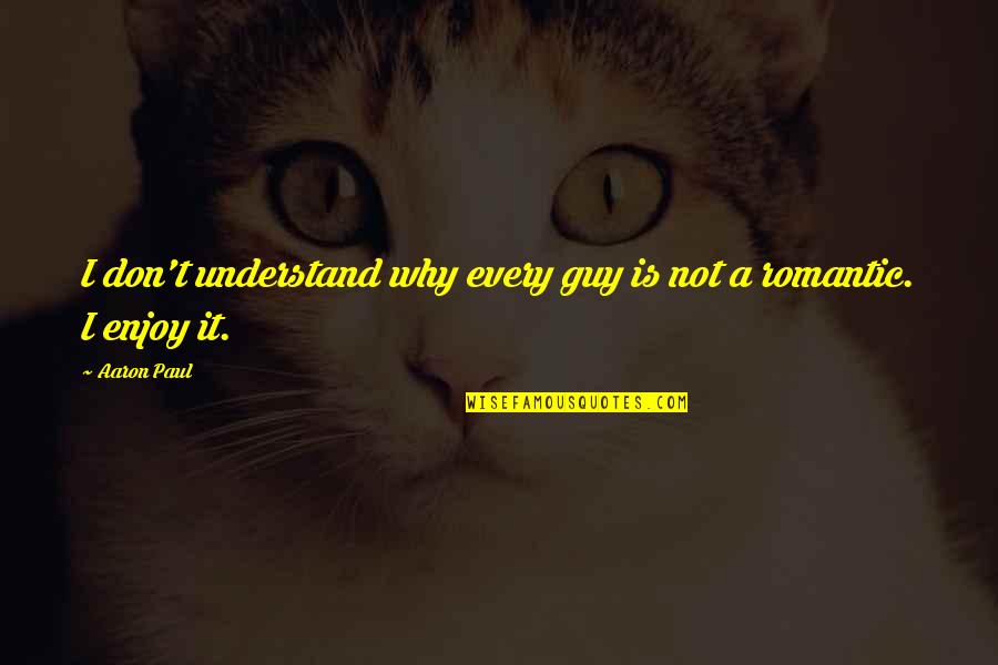 Aaron Paul Quotes By Aaron Paul: I don't understand why every guy is not